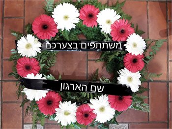 גלגל אבל שורה 1