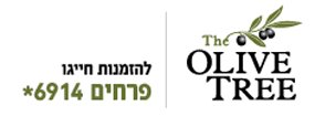 נסיון