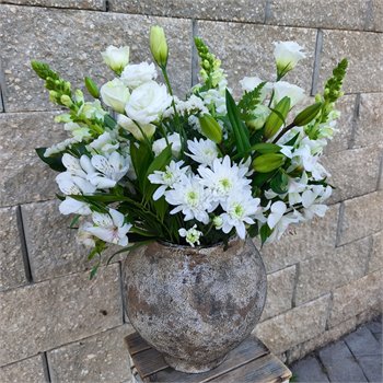 לבן מהודר באגרטל