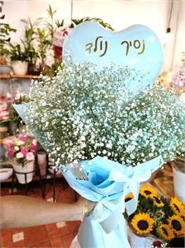 גיבסנית לתינוק.ת